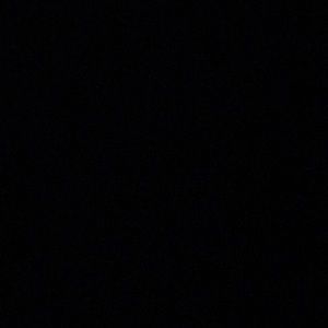 Meet your Posher, Sophia